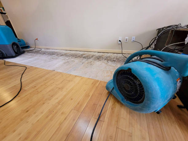 Professional Water Damage Repair technician working in Amagansett, NY
